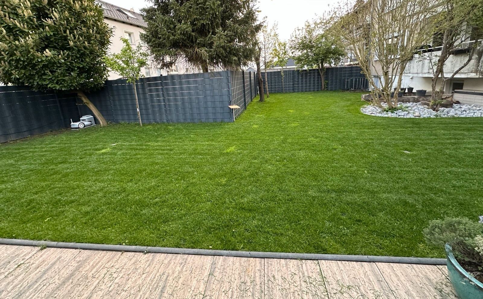 Gepflegte, frisch gemähte Rasenfläche in einem Garten hinter dem Haus